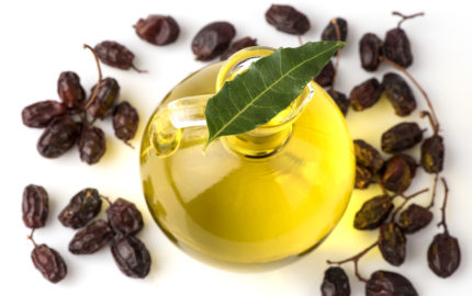 The many uses of Neem Oil
